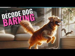 Why Your Dog's Barking Might Be a Cry for Help