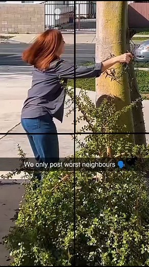 Worst Neighbours | We only post the WORST neighbors you’ll ever see! From petty drama to outrageous behavior — it's all caught on camera. New uploads daily!... | Instagram