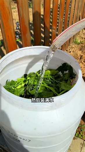 How to compost #compost