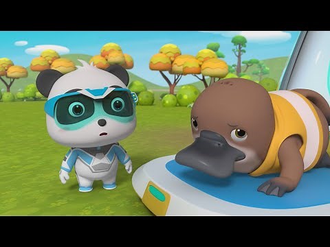Mr Platypus Gets Hurt+More | Super Rescue Team Collection | Best Cartoon Collection