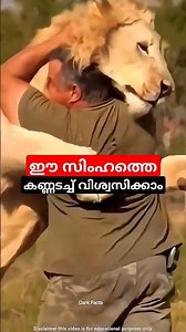 ഈ സിംഹങ്ങളെ വിശ്വസിക്കാം