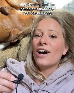 71K views | Take your pet parenting to the next level with in-depth genetic insights from Wisdom Panel — the most accurate pet DNA test. | Wisdom Panel | Facebook