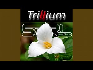 Trillium (feat. Sara)
