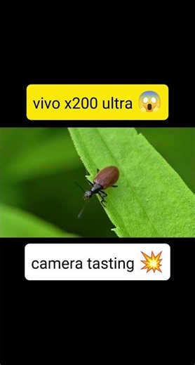 Vivo X200 Ultra Camera Test 📸 Insane Details!