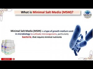 What is MSM? | Minimal Salt Media #media #laboratory #msm #raqbamicrohub