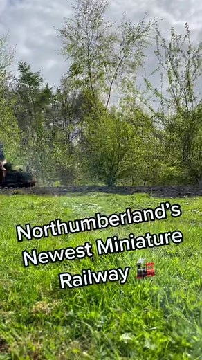 tiny train in Northumberland #train #railway #steam