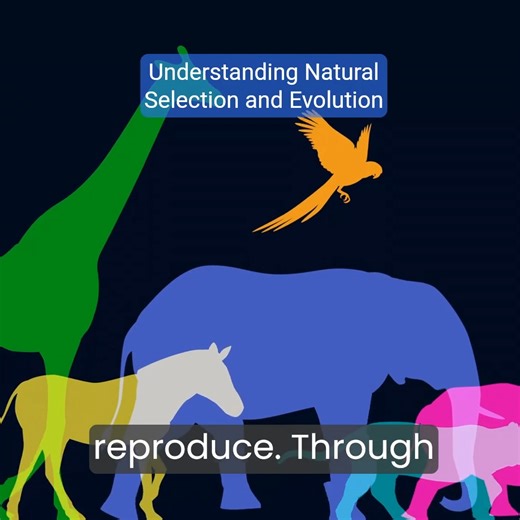5.2K views · 54 reactions | Understanding Natural Selection:...