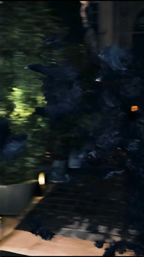 What @royricardo say about assen? Kadang yang simpel kayak jaket assen justru yang paling bikin ‘menyala’, apa lagi Jaketnya pas banget di badan, desainnya fresh, dan fungsional buat Trackeriders! 🔥🫵🏻 #tracker #trackerid #royricardo #jaketassentracker #jakettracker