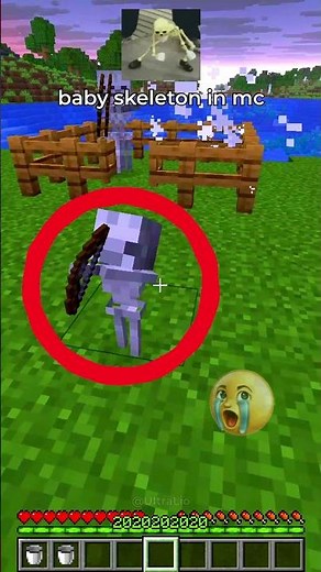 baby skeleton in #minecraft 💀