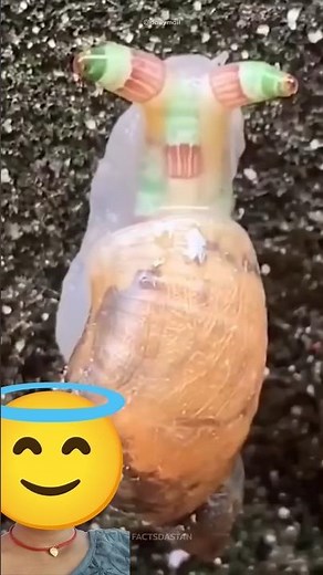 🧠🐌 “Zombie Snail: The Mind-Controlling Parasite That Turns Eyes Into Disco Lights!” 👀✨#facts #shots
