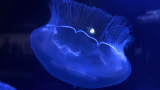 Vidéos de 𝑵𝑰𝑪𝑲𝑿𝑿_𝒔𝒅𝒊𝒐 (@nickxx_studio) avec son original - Nostalia (3)