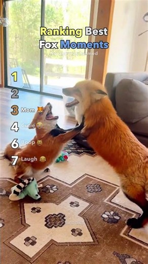 Ranking Best Fox Moments PART 2