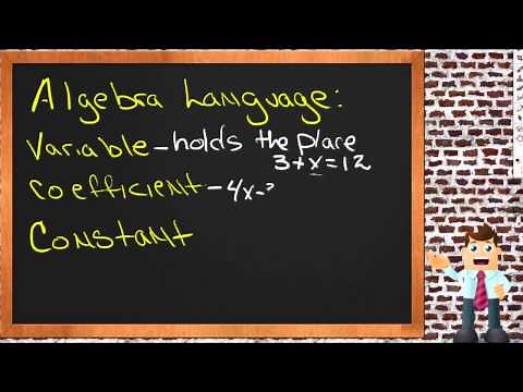 The Language of Algebra: An Application (Algebra I)
