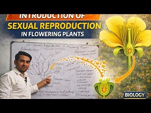 Introduction||Sexual reproduction in flowering plants ‪@Amir_Biotech‬