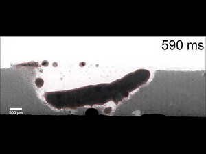 In situ X-ray imaging of defect and molten pool dynamics in laser additive manufacturing