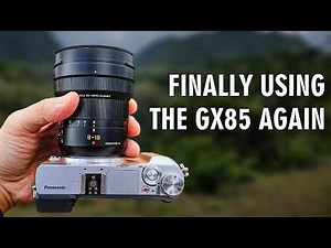 Lumix GX85 is BACK! Moody Landscape Photography feat. Leica 8-18mm and Lumix 35-100mm