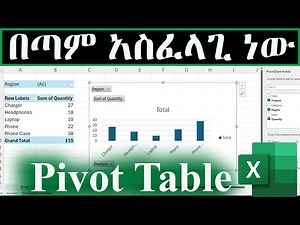 How to Use Pivot Tables in Excel / Pivot Table Tutorial for Beginners (Amharic)