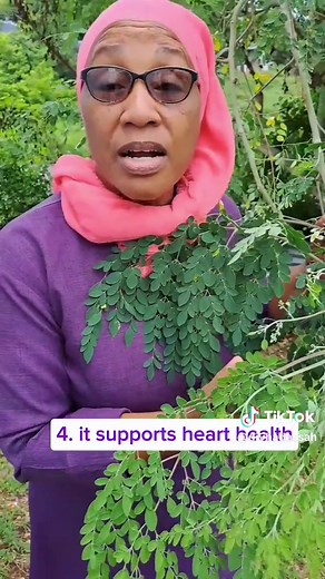 Transform Your Health with Moringa: 6 Benefits for Men