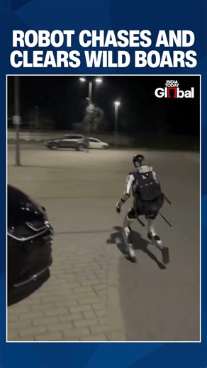 Humanoid Robot Chases Wild Boars on Warsaw Streets, Video Goes Viral