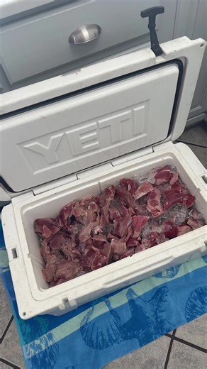 Home Butchering Techniques for Deer Processing