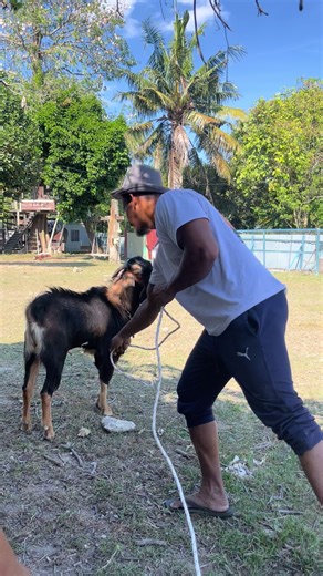 akiviti bila market indek close kita kacau si yatim….