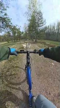 Kickbike joring with 2 Siberian Huskies (Heda and Havu both)