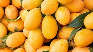 Sustainable mango leather from Fruitleather | Handbagio