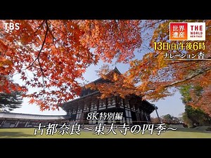 『世界遺産』11/13(日) 8K特別編 古都奈良 〜 東大寺の四季 〜【TBS】