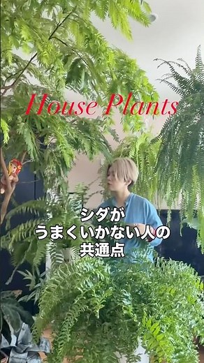 シダが上手くいかない人の共通点 #観葉植物 #ガーデニング #plants #植物 #シダ植物