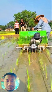 562K views · 2K reactions | Amazing manual rice planter machine #agriculture #farming #machine #viral #agro #ricetransplanter #riceplanting | 혽홡홪홚 혾홝홚홢홥 | Facebook