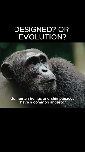 Are humans truly designed or just result of evolution? The Story of Everything in theaters April 30