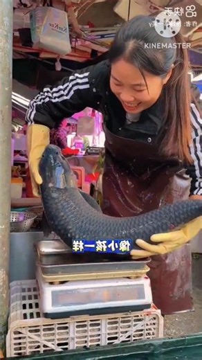 Big Black Fish Cleaning Skills l 😍 l #shorts #viralfishcleaning #blackfish