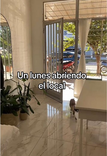 Ritual de Limpieza Energética para Iniciar la Semana