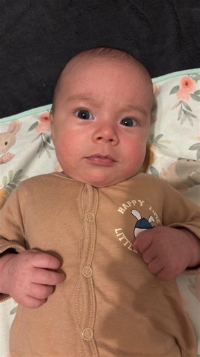 TheKaito Show | Jojo ,číst knížky, ještě jedno vzdělání, 🤣🤣 #miminko #baby #babyreels #funnybabyvideos | Instagram