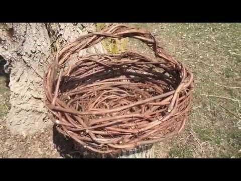 Making A Grapevine Basket.