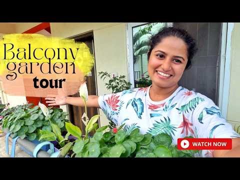 Apartment Balcony Garden Tour | Care Tips | Bangalore | Malayalam #plantcare #tour #balconygarden