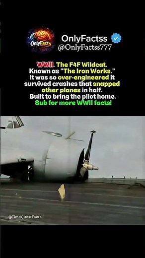 The Toughest Plane of WWII