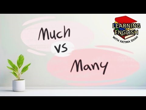 Difference Between Much And Many/Countable And Uncountable Noun With Examples