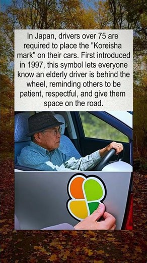 Why Elderly Drivers in Japan Use This Symbol 👀