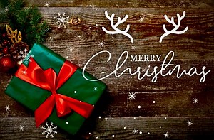 Williams Group Auto on Reels