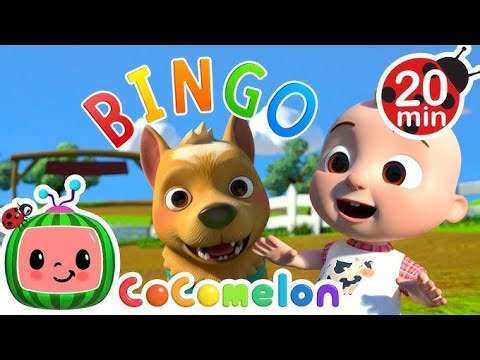 Bingo Song with Clap Along | Preschool Rhymes & Family Music