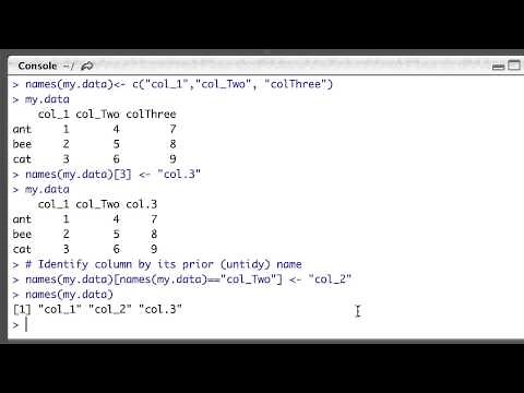 Naming and renaming columns in R dataframes