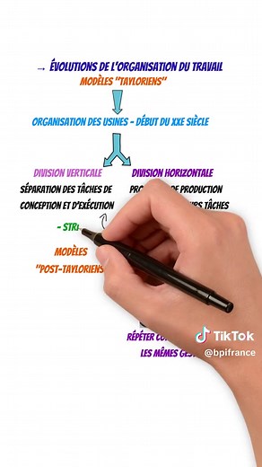 Mutations du travail et de l'emploi : Révision Bac 2025