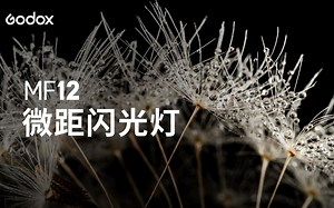 【教程】一学就会的微距摄影技巧，神牛MF12微距摄影创作分享