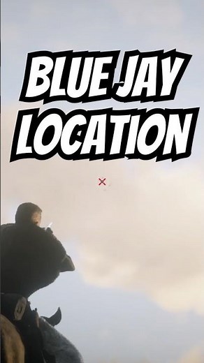Blue Jay location #rdr2