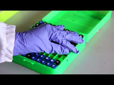 Análisis físico, químico y sensorial del cacao