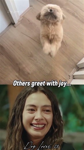 My dog waits to heal my sadness.💔 #sadmoment # algorithm #short