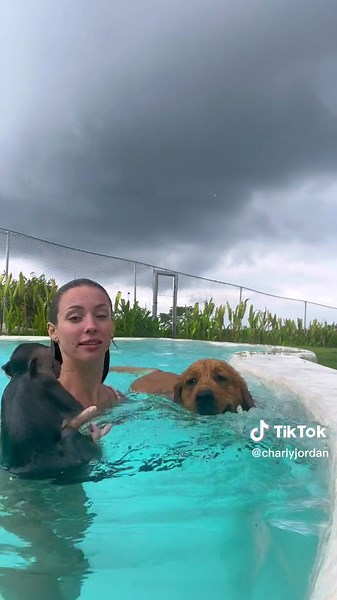 Never had a better swim in my life 🙈 🐶 = ❤️ swimsuit from @@Revolve