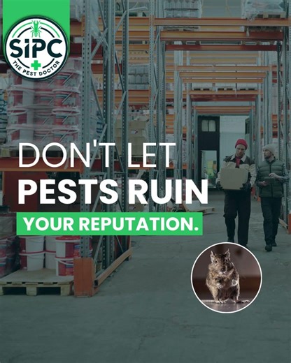Pest control Services in India | Sequre India Pest Control SIPC.