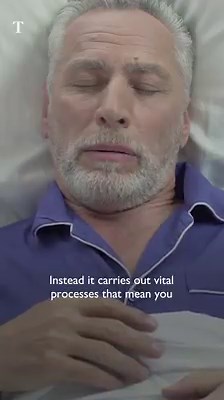 What happens to your brain when you sleep? Researchers are getting closer to finding out what goes on behind closed eyelids. | The Times and The Sunday Times